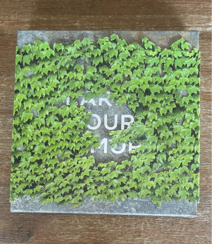 Horizon Zero Dawn (Presse Kit)